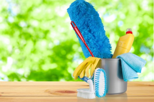 Professional pet stain odour removal service in an EN5 home carpet area