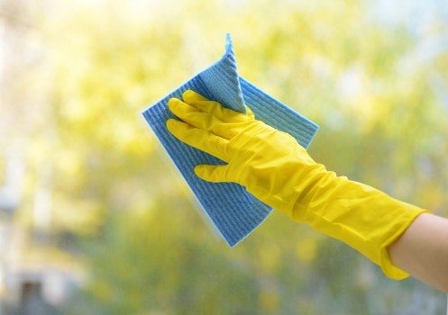 Professional steam carpet cleaning in an EN5 home living room