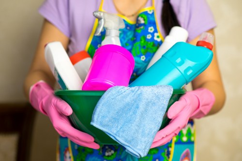 Carpet cleaners in EN5 providing professional carpet care in a home interior