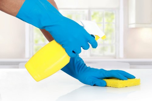 Professional cleaner handling exterior windows on an EN5 property