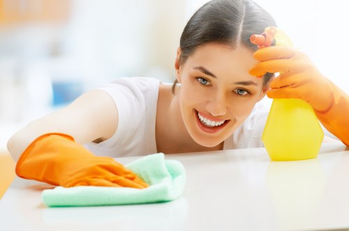 Regular cleaning service for an EN5 home interior