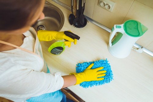 Professional cleaning of armchair upholstery with fabric-safe equipment