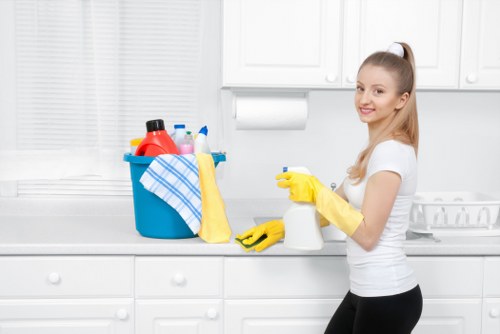 Professional property cleaning for move out handover in EN5