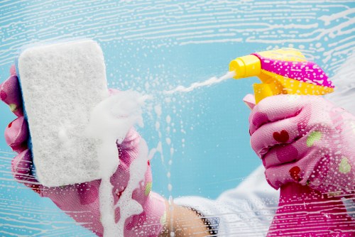 Accessibility support information for Carpet Cleaners EN5