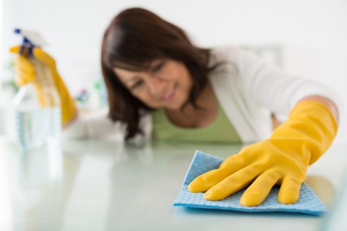 Professional deep cleaning process in a local EN5 home