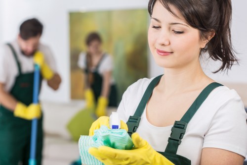 Risk assessment and safety planning for a carpet cleaning service in EN5