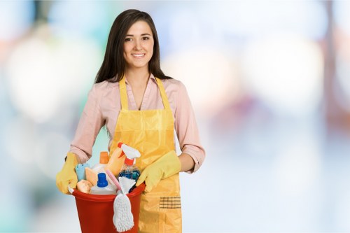 Regular domestic cleaning visit for an EN5 property