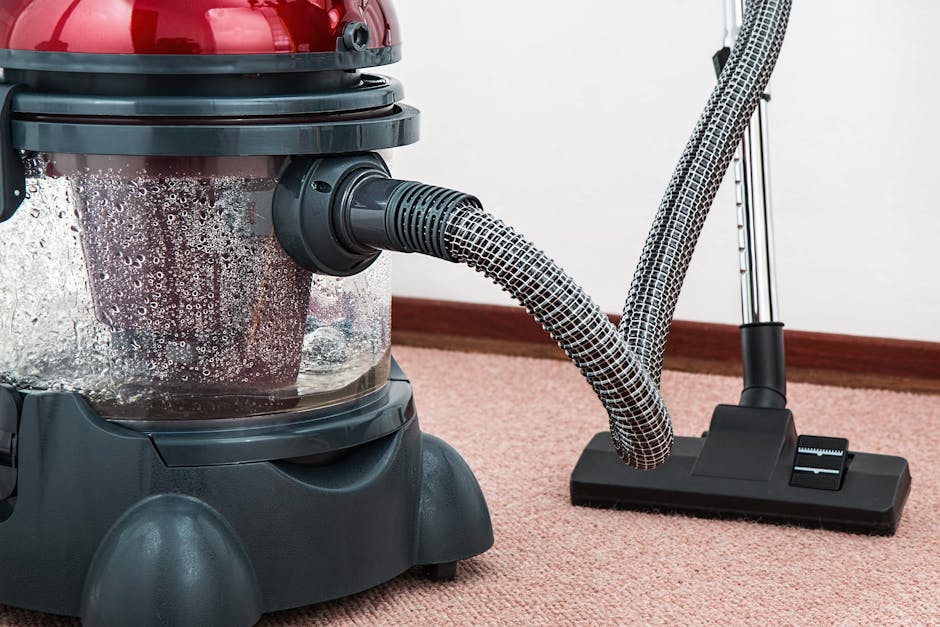 Carpet cleaning guide for High Barnet EN5 period homes